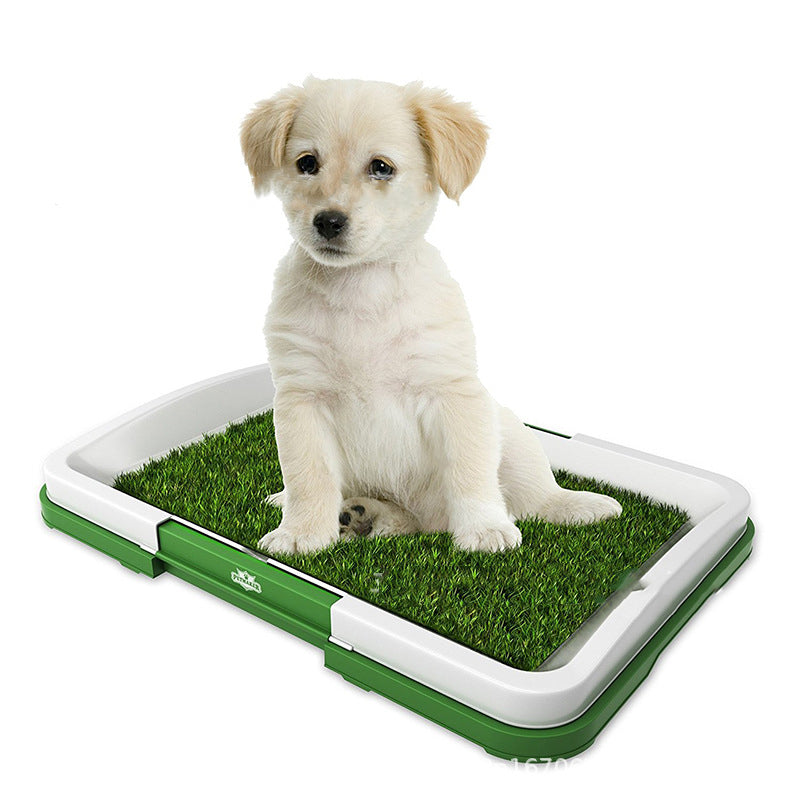 Puppy Pad