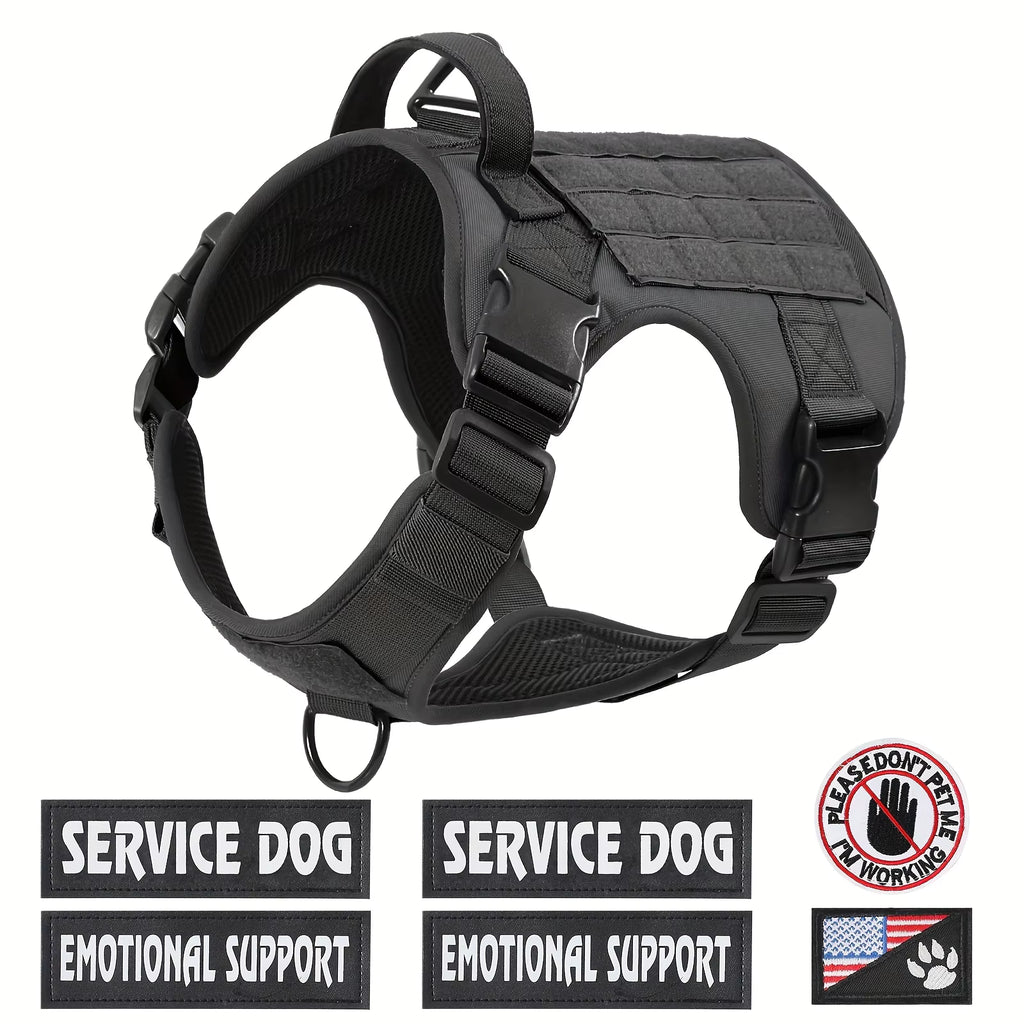 American Local Tactical Pet Dog