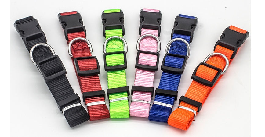 Pet Collar