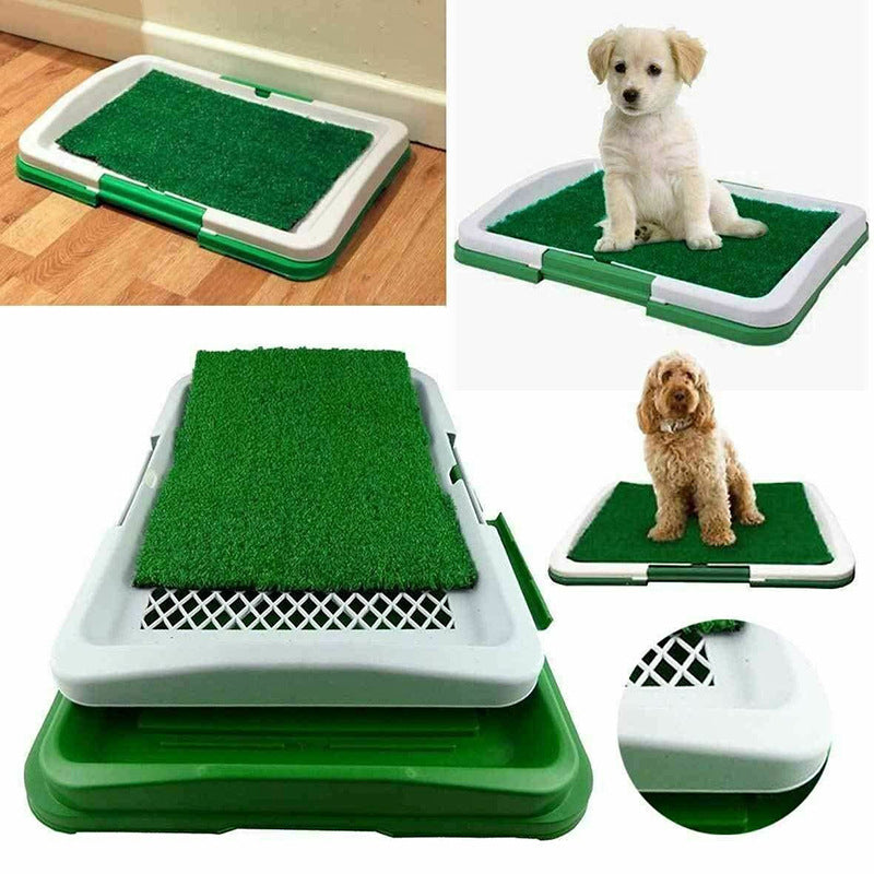 Puppy Pad