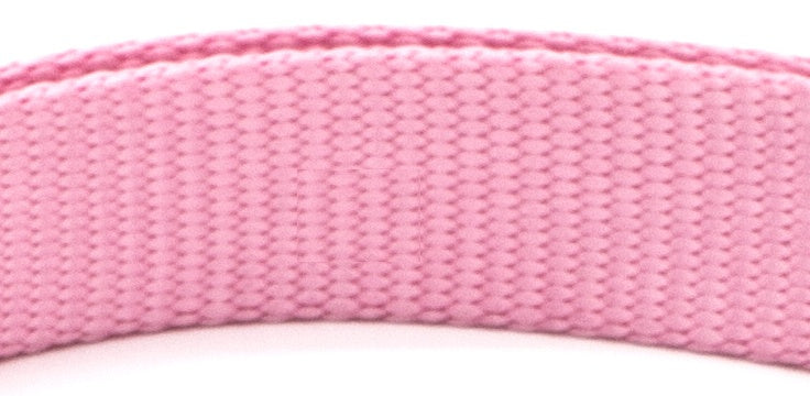 Pet Collar