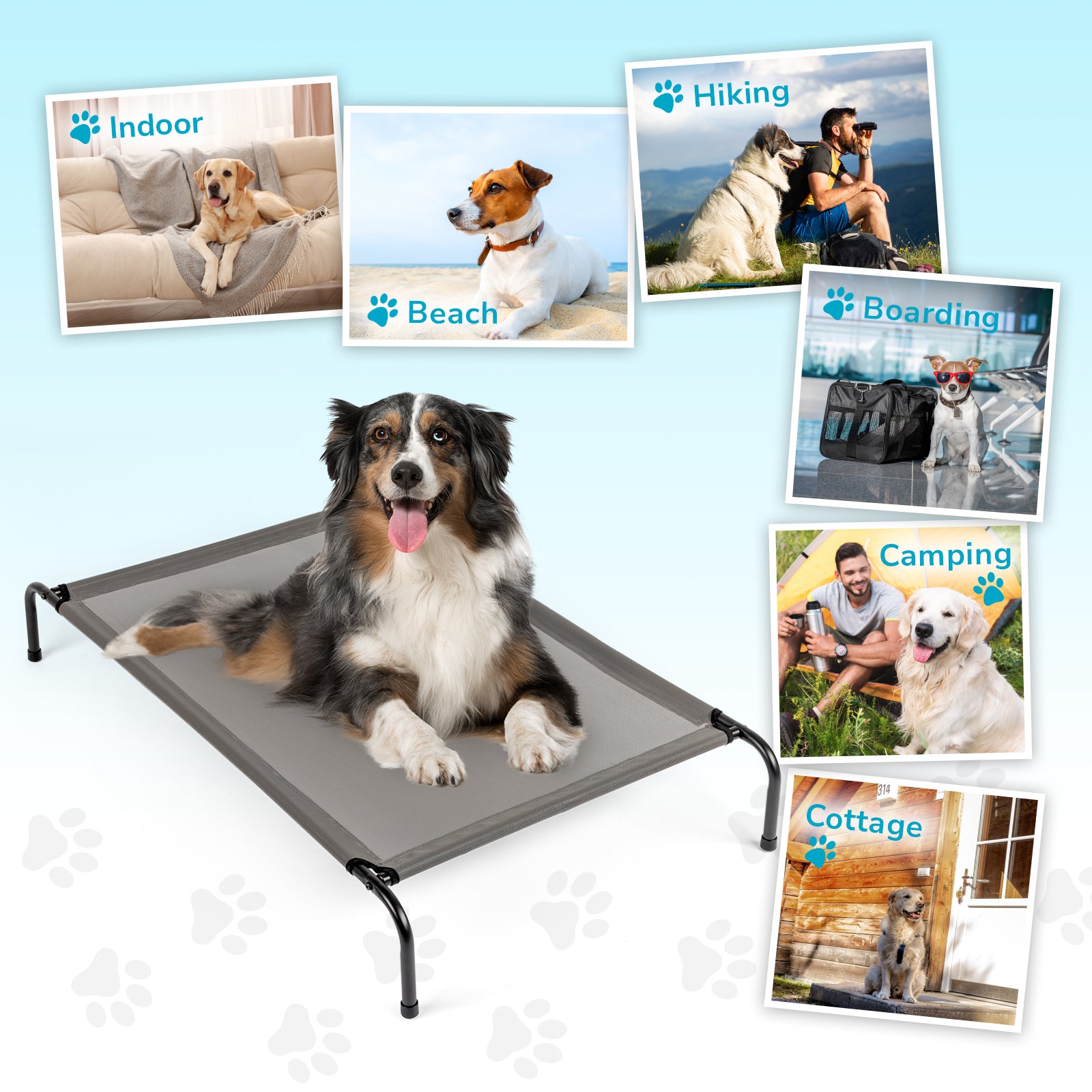Pet Bed
