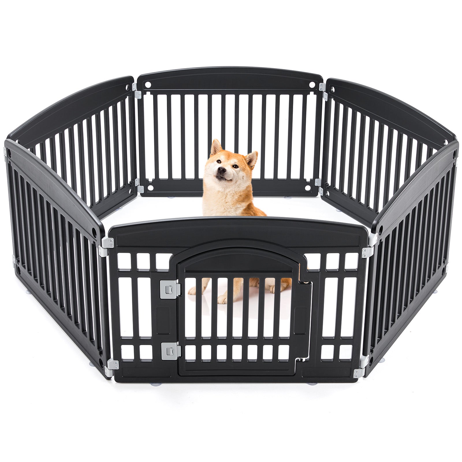 Dog Fence