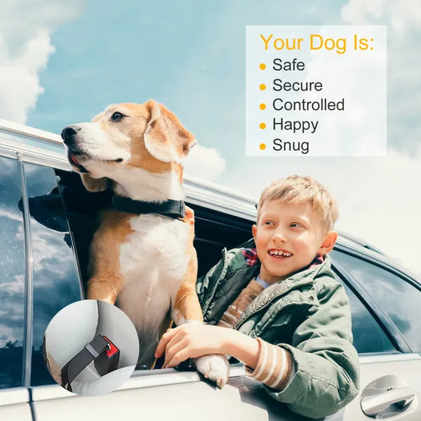 2Pcs Pet Dog Seat Belt Leash Adjustable