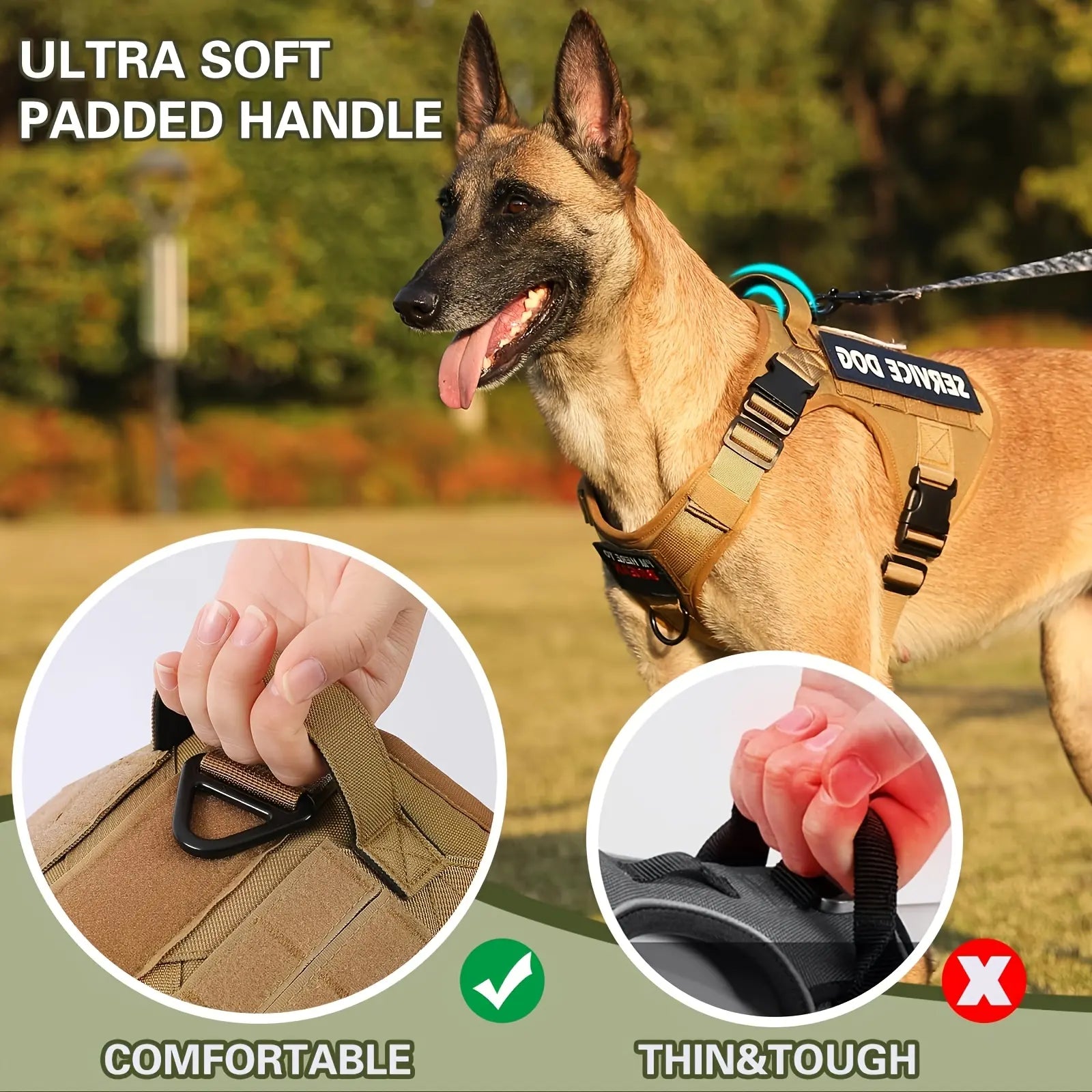 American Local Tactical Pet Dog