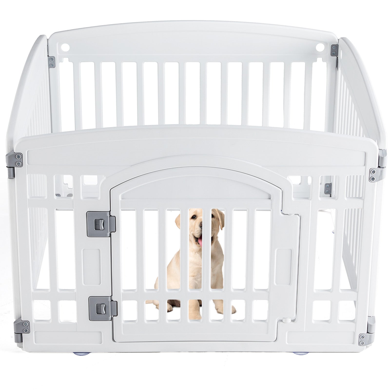 Dog Fence