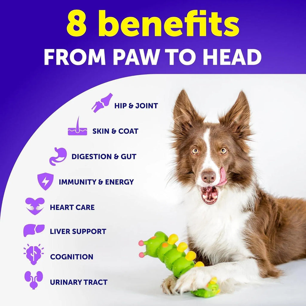 Dog Multivitamin