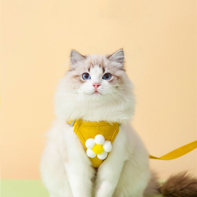 Cat Leash Anti-breakaway Harness