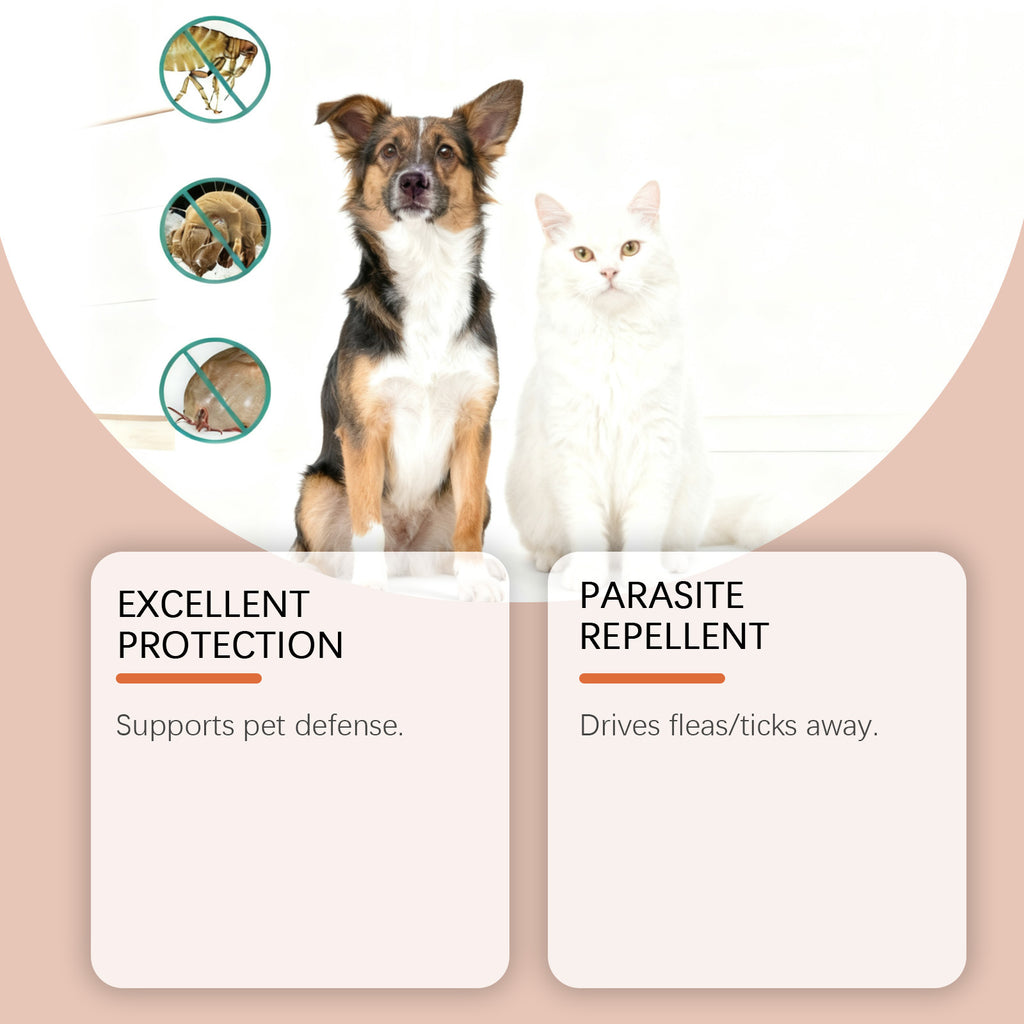 Flea And Tick Prevention