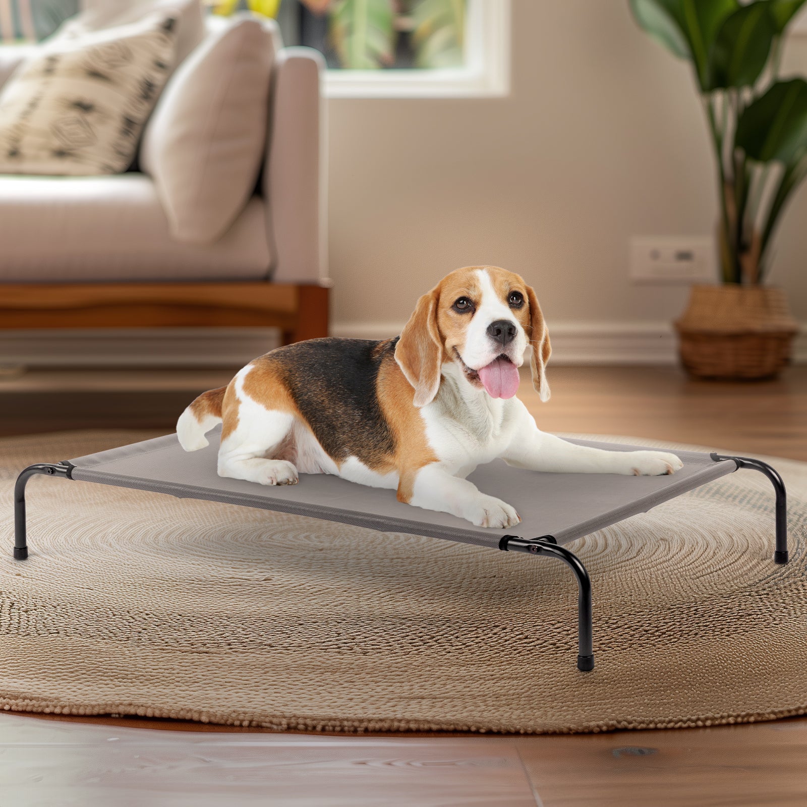 Pet Bed