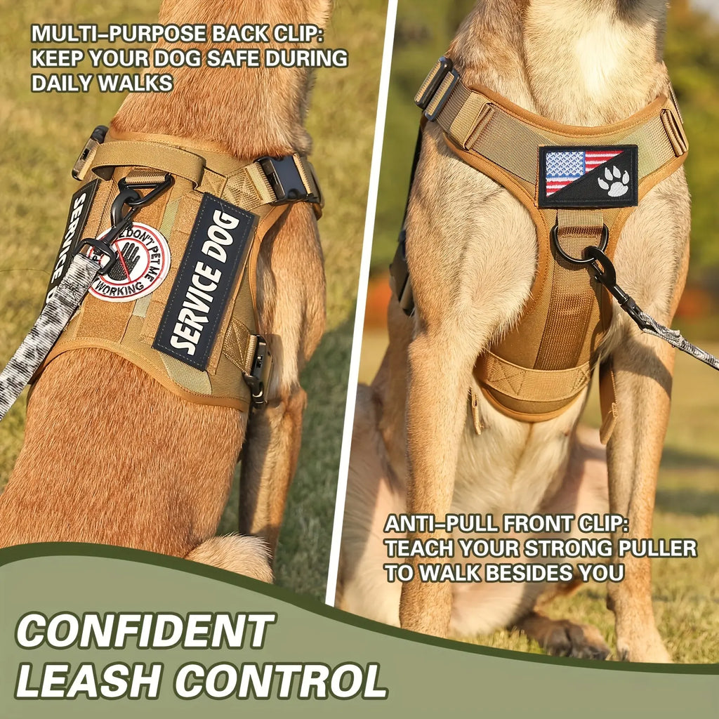 American Local Tactical Pet Dog