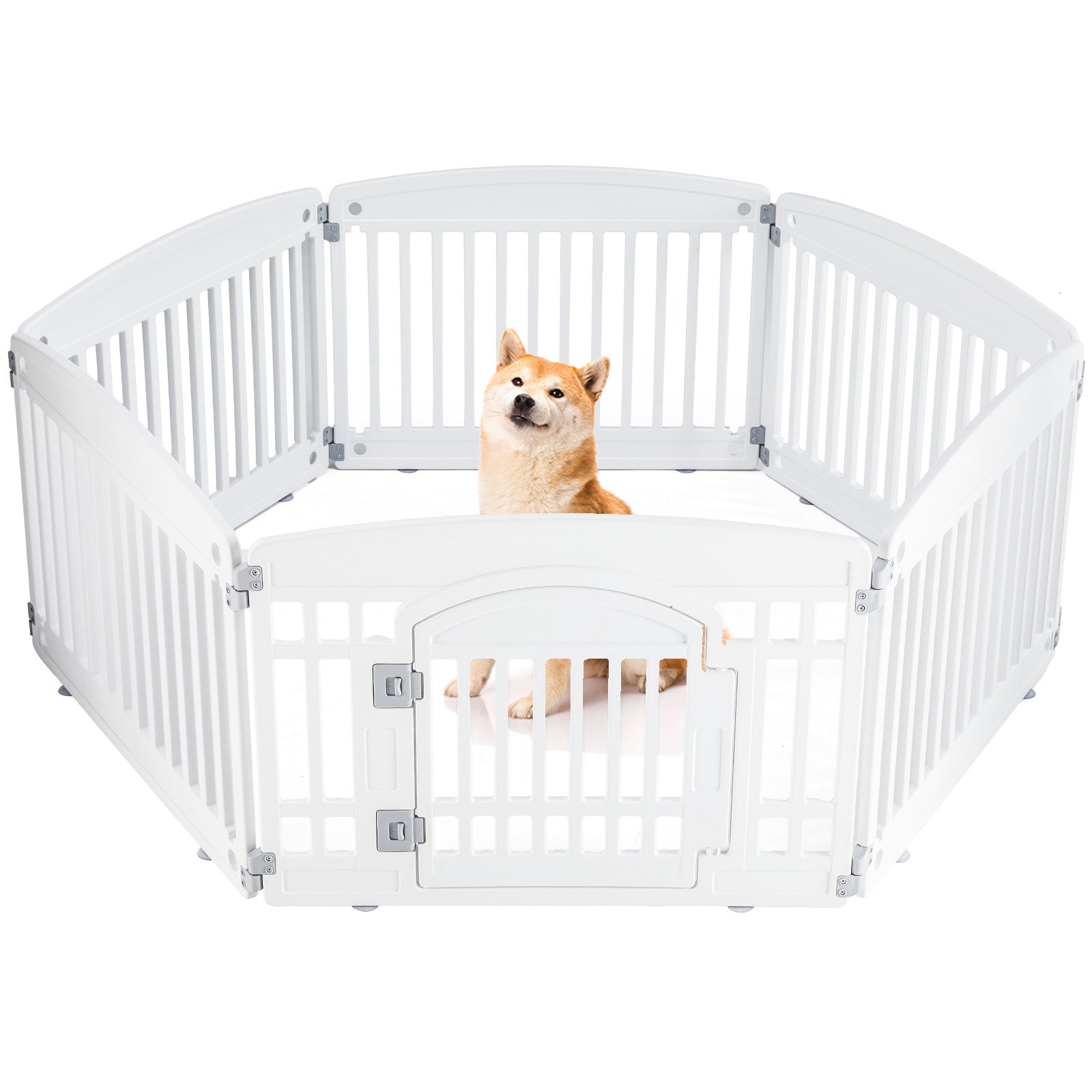 Dog Fence