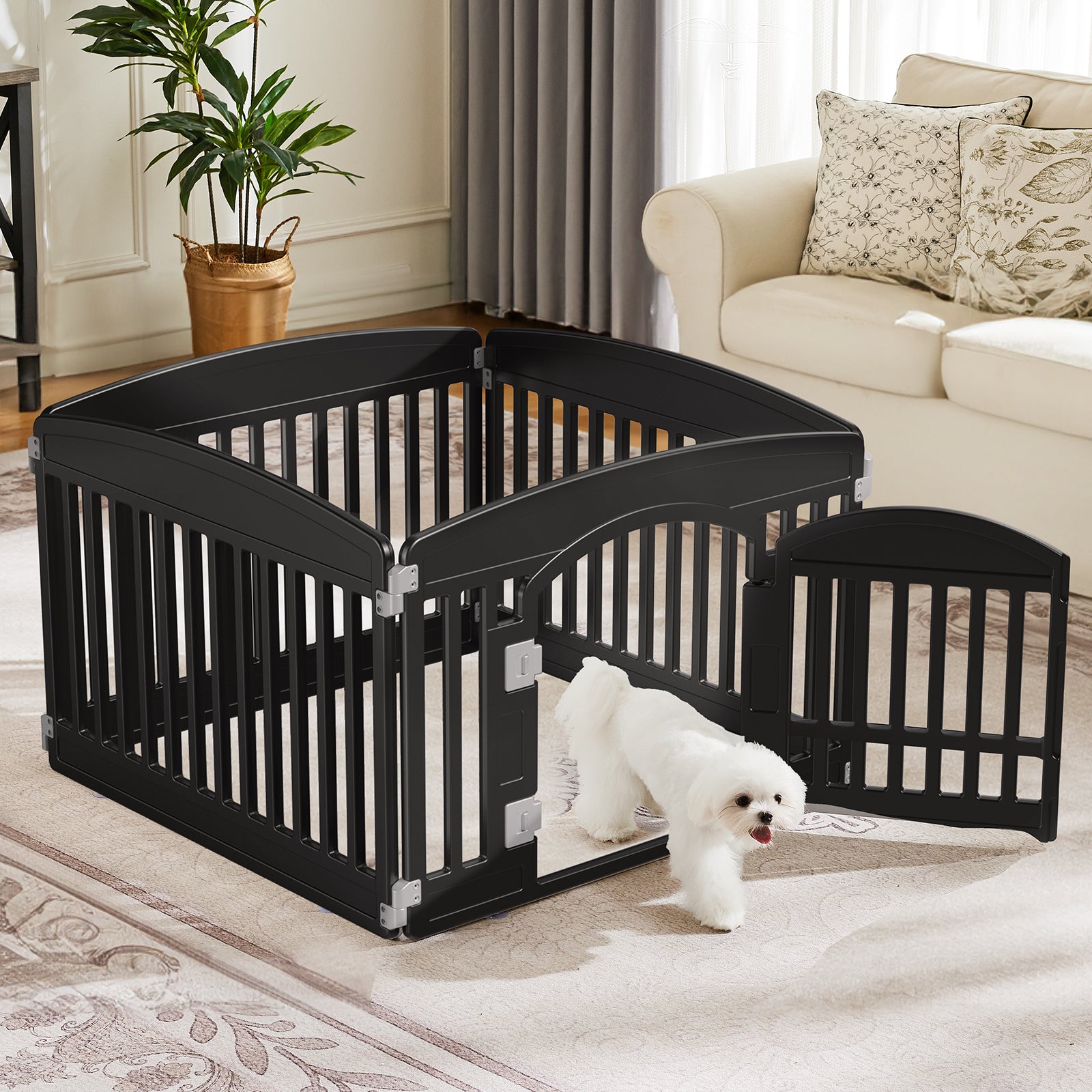 Dog Fence