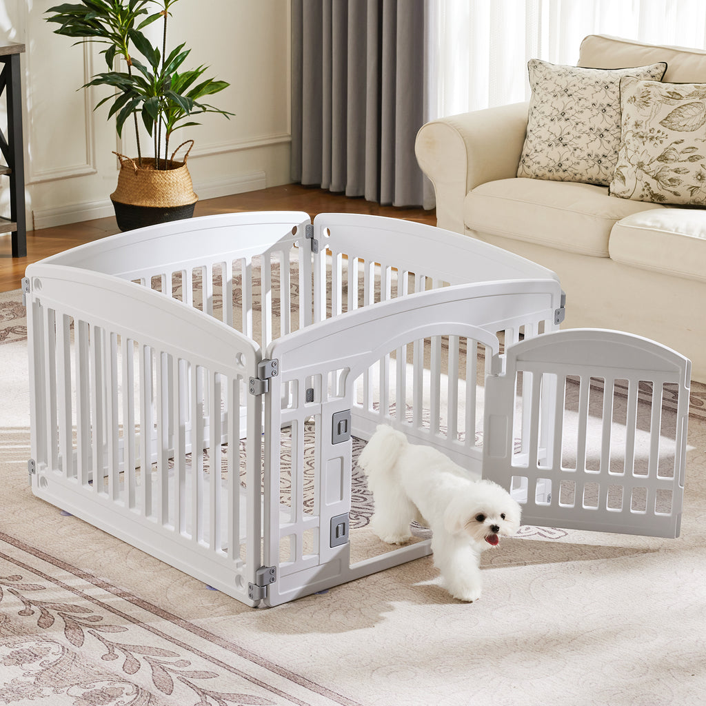 Dog Fence