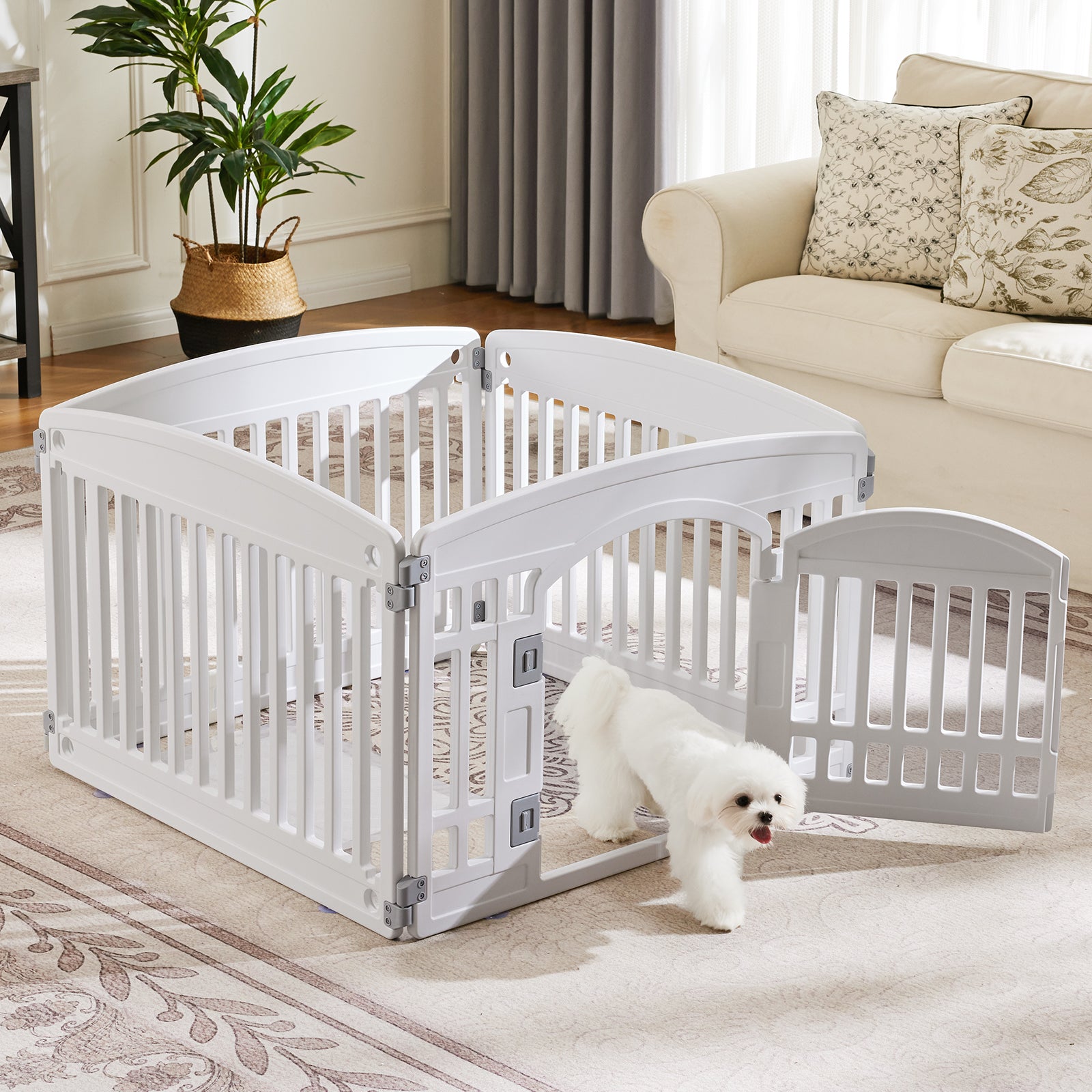 Dog Fence